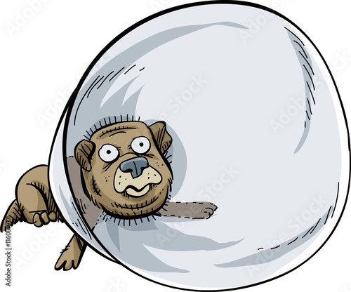 A sad cartoon dog with a plastic cone around its head to protect it from licking stitches.