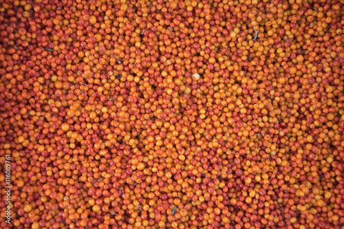 Background from the fruit of sea buckthorn berries