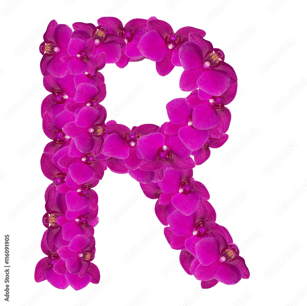 Letters made of pink flowers. R letter - flower alphabet Letters made of pink flowers. R letter - flower alphabet