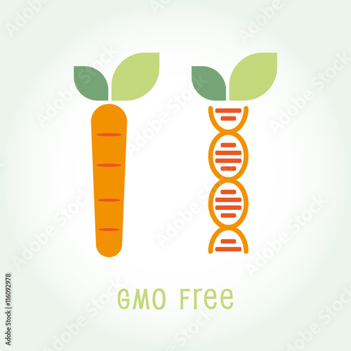 Genetically Modified Organisms GMO FREE symbol emblem icon vector illustration