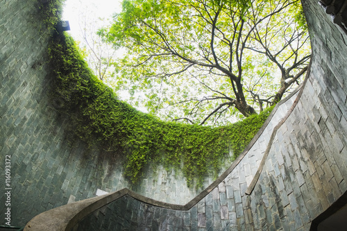 Under big tree canopy