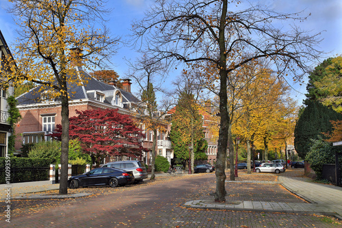 Street Koningslaan in the center of Amsterdam near the Vondelpark. The Netherlands.