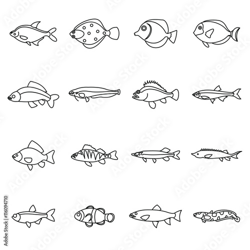 Cute fish icons set in outline style. Sea set collection isolated vector illustration