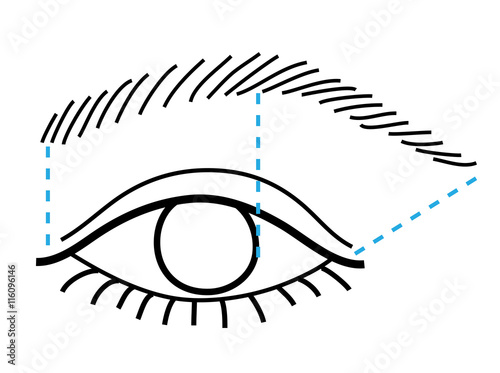 Eye and brow. Vector illustration. How to tweeze a brow.