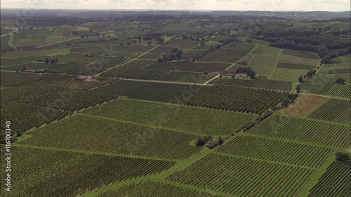 Vinyards Near Bergerac