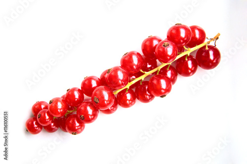 closeup of a bunch of delicate and fresh redcurrants