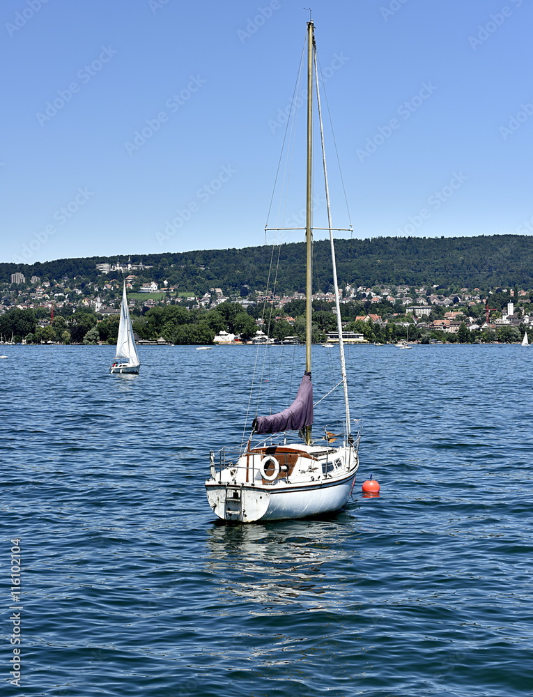 Fototapeta premium lac de zürich