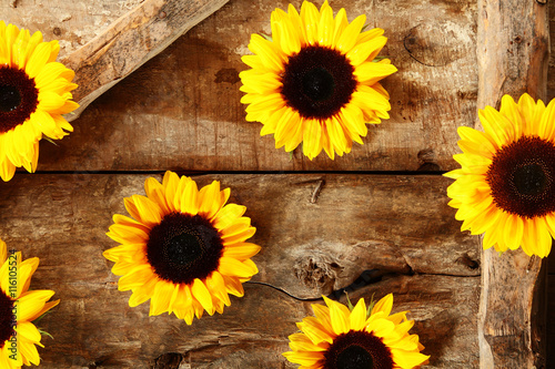 Arrangement of colorful yellow sunflowers