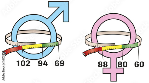 BMI Values