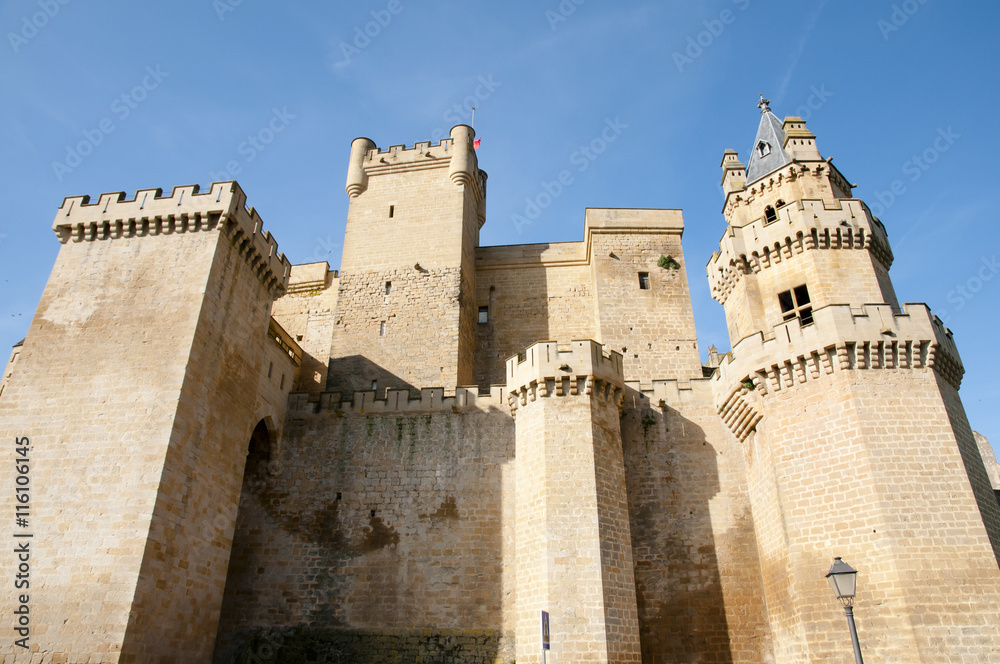 Castle of Olite - Spain