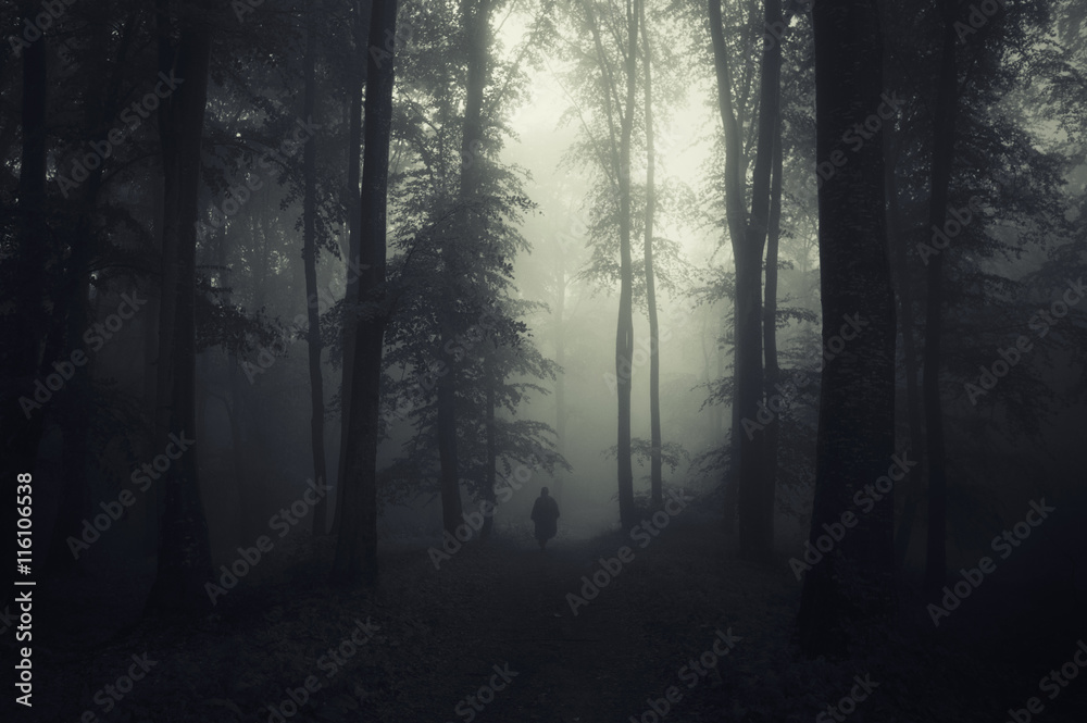 dark forest with man silhouette
