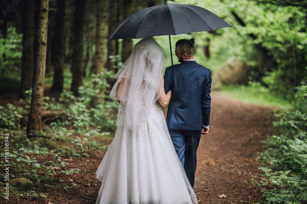 Beautiful bride and groom walking under umbrella at park. Bride with red hair. Pine forest. Newlyweds walking.