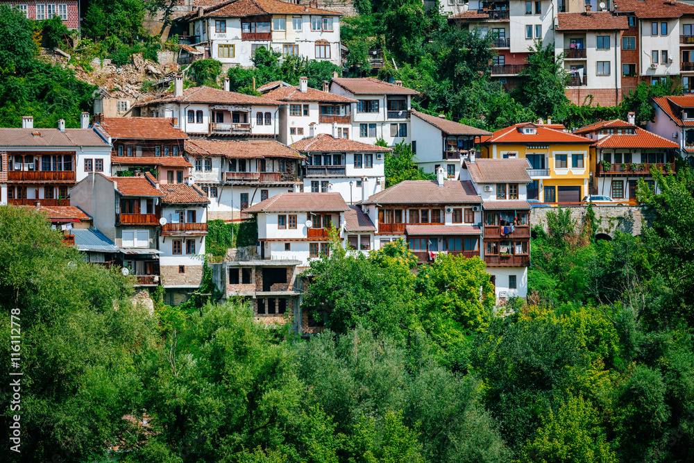 Fototapeta premium View of Veliko Tarnovo, a city in north central Bulgaria