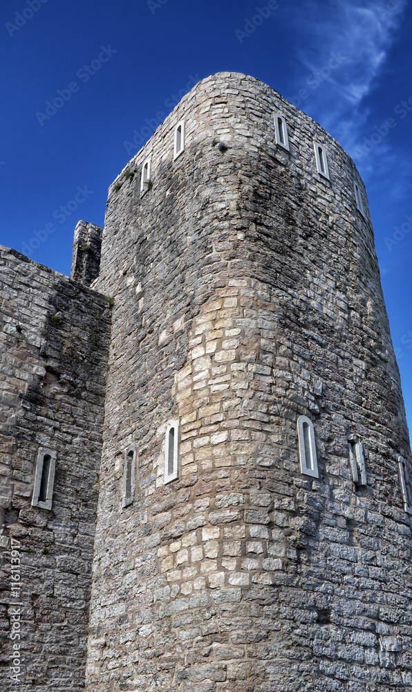 Torre castello