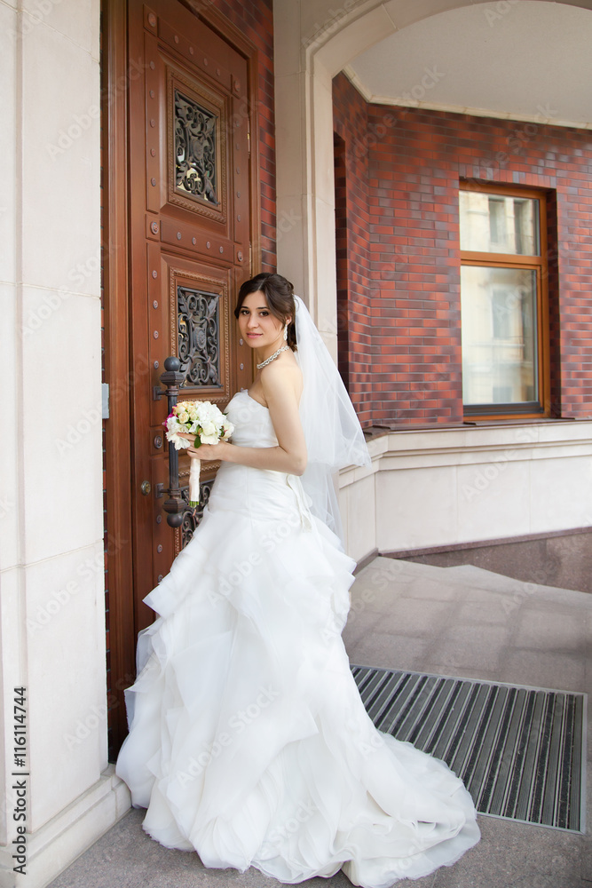 Brunette bride in a beautiful white dress Brunette bride in a beautiful white dress