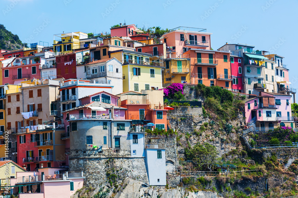 houses built at a hill in Manarola, Cinque Terre, Italy
