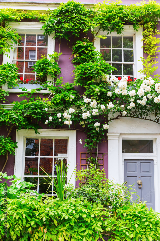picturesque house facade in Nottting Hill, London picturesque house facade in Nottting Hill, London