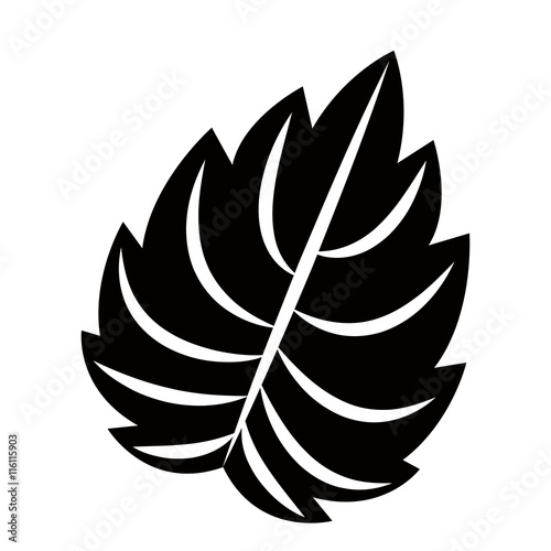 leaf plant isolated icon design, vector illustration graphic 