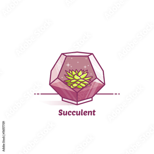 illustration sukkulenten in terrarium