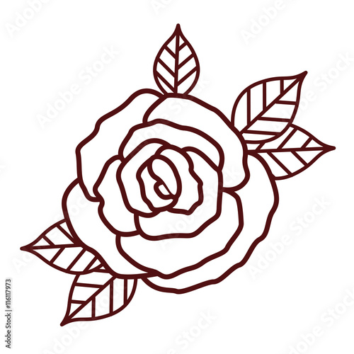 Fototapeta Naklejka Na Ścianę i Meble -  beautiful rose isolated icon design, vector illustration  graphic 