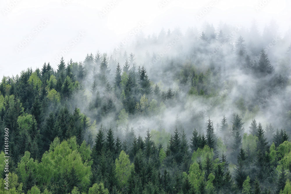View of foggy mountains