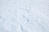 Footprint on the snow