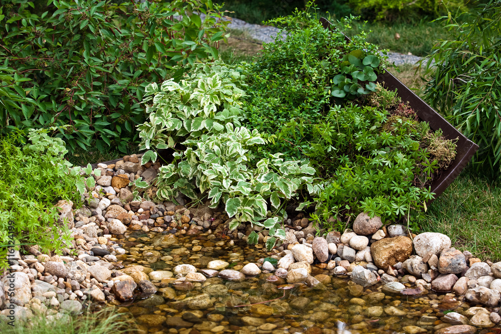 Small pond in landscape garden Small pond in landscape garden