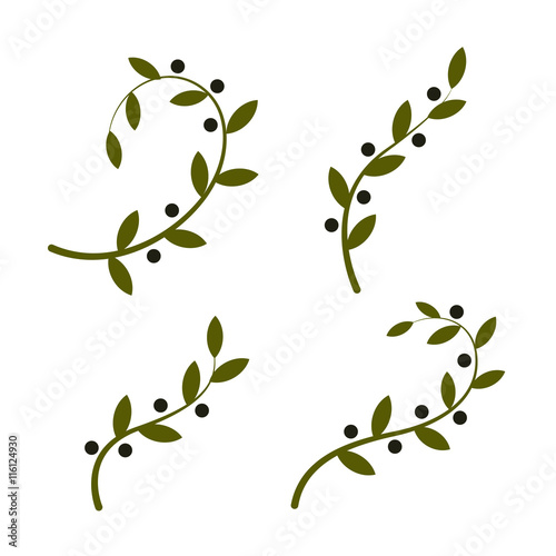 Isolated olive branch vector logo set. Oil logotypes collection. Peace day.