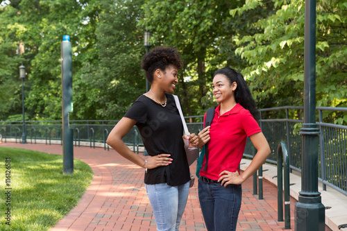 2 young african american college student chatting on campus