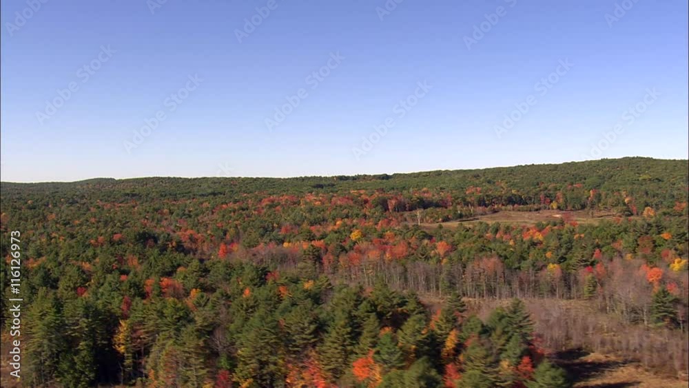 Woods, Fall Colours Woods, Fall Colours