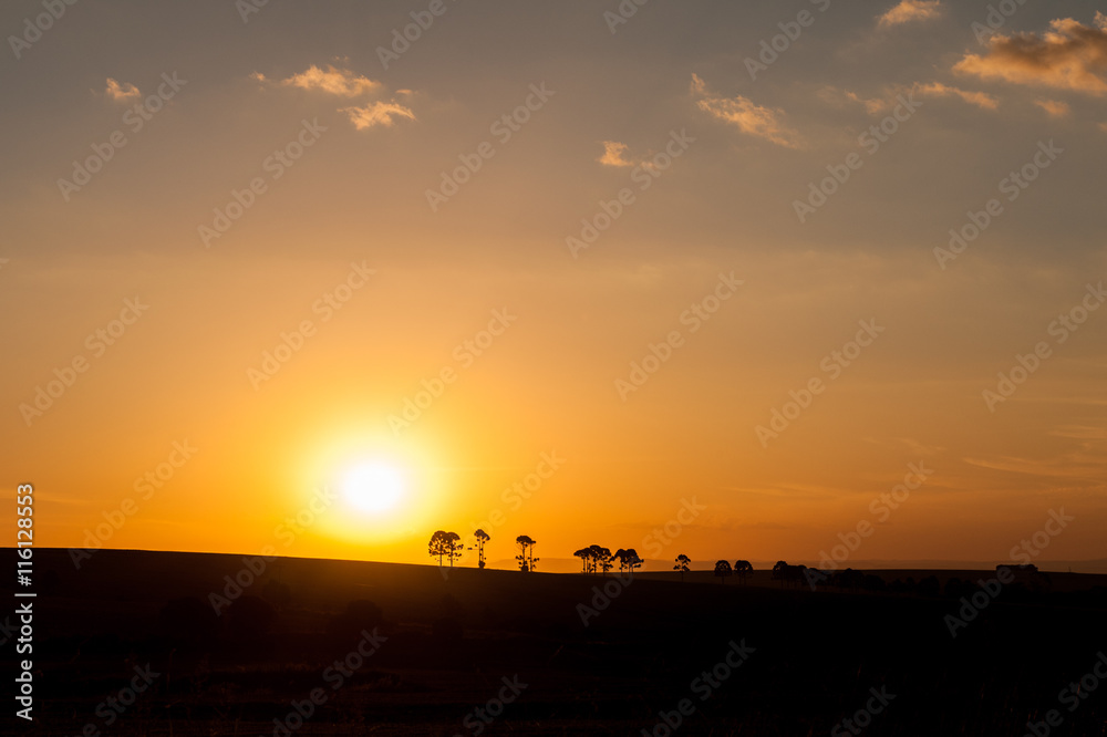 Sunset in the countryside of Parana State, Brazil