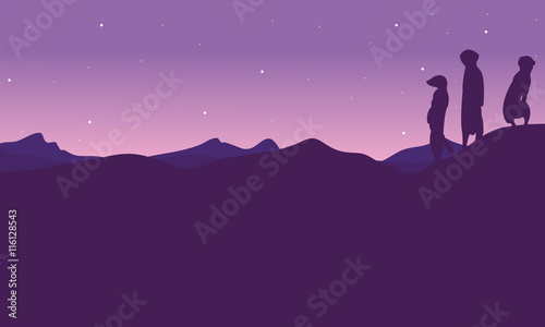At night meerkat landscape silhouette