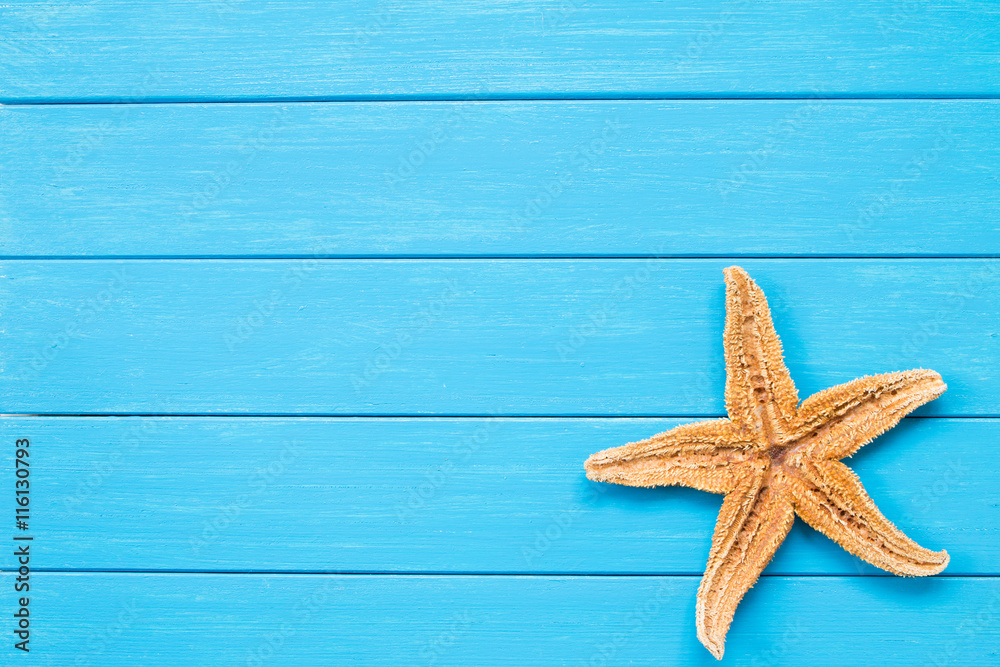 Starfish on a blue board Starfish on a blue board