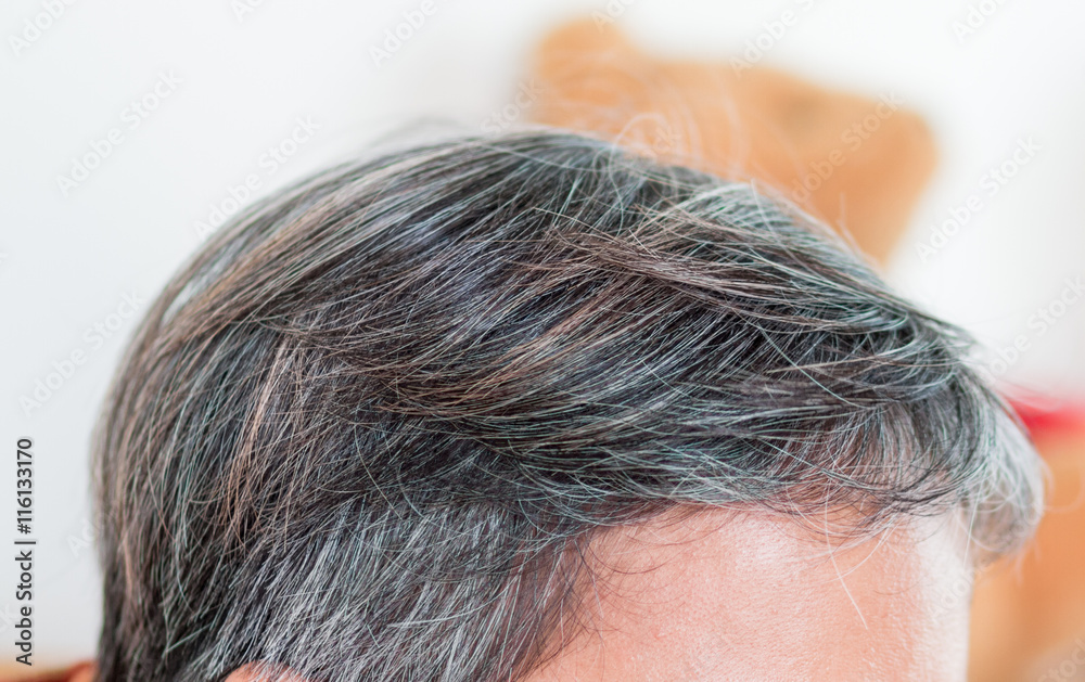 Fototapeta premium blurred of going gray in young woman shows her gray hair, hair g