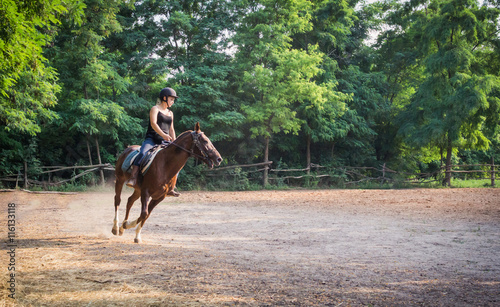 Молодая девушка жокей и скаковая лошадь на тренировке