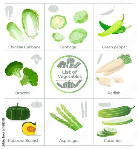Examples List of popular vegetables sold by supermarkets and icons vector.