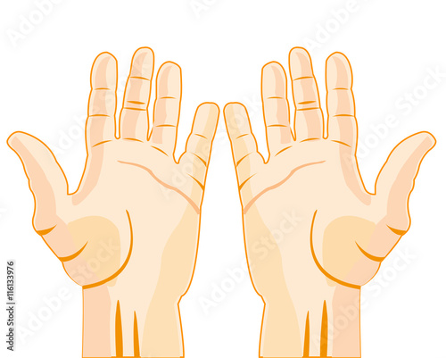 Stretched palm of the person