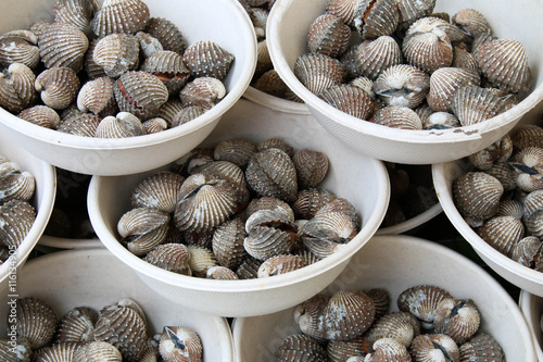 Foto cockles