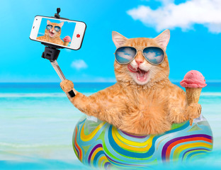 Cat wearing sunglasses relaxing  on air mattress in the sea taking a selfie together with a smartphone.
