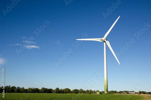 Windmill in a green landscape