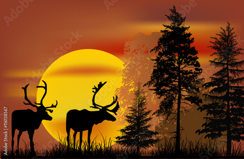 two deers silhouettes and large sun