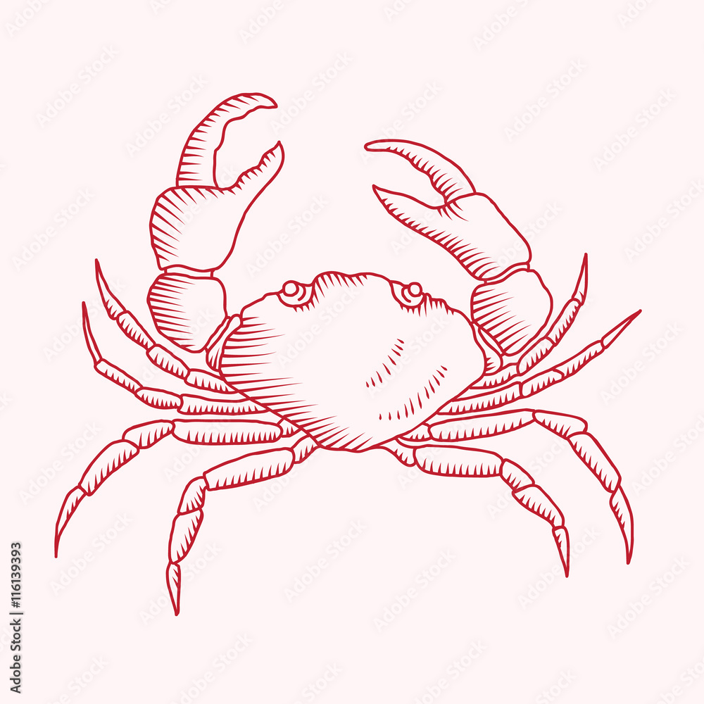Ocean Crab Drawing