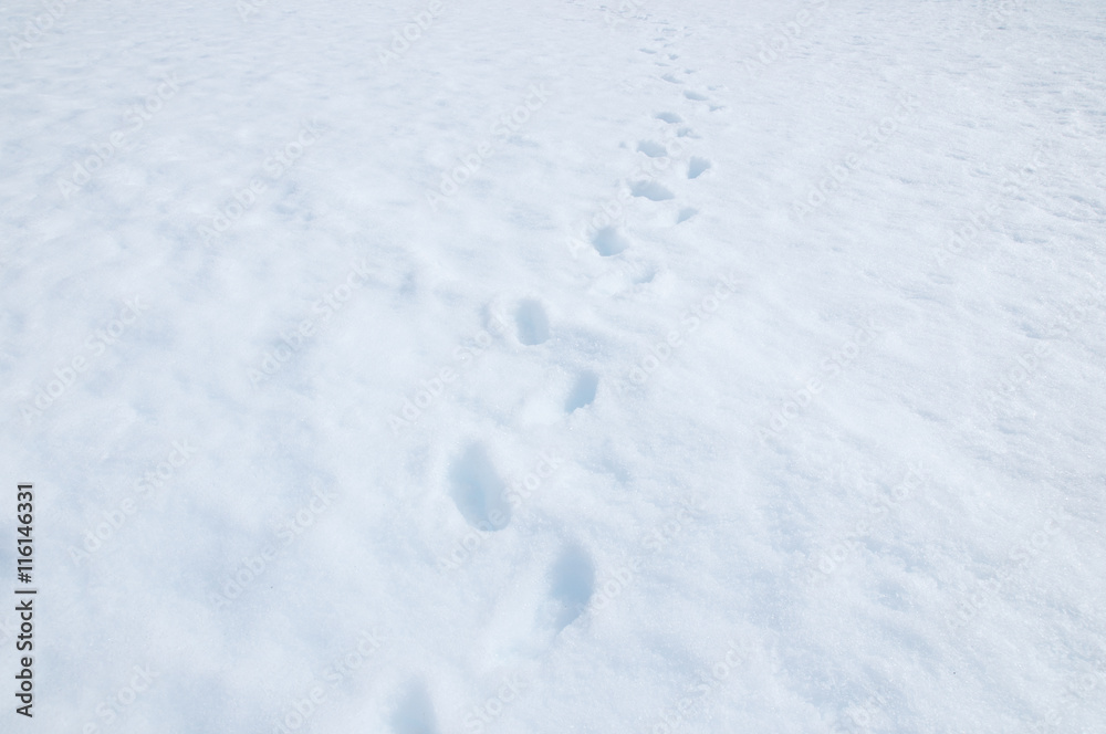 Fototapeta premium Footprint on the snow background