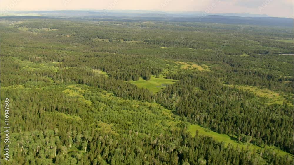 Forest And Fertile Valley Forest And Fertile Valley
