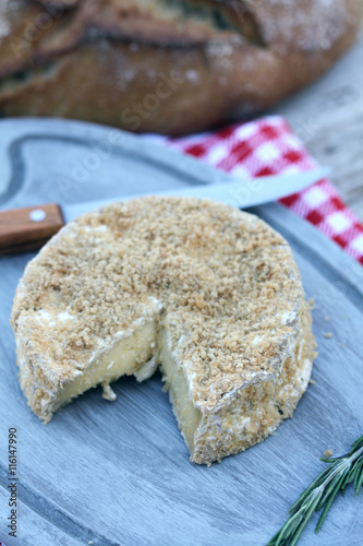 camembert fermier 19072016