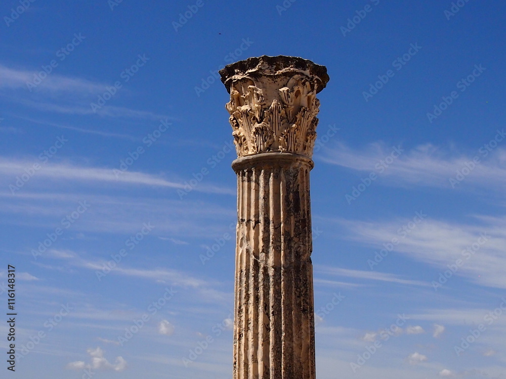 верхняя часть колонны с лепниной на территории терм Антония  в Карфагене