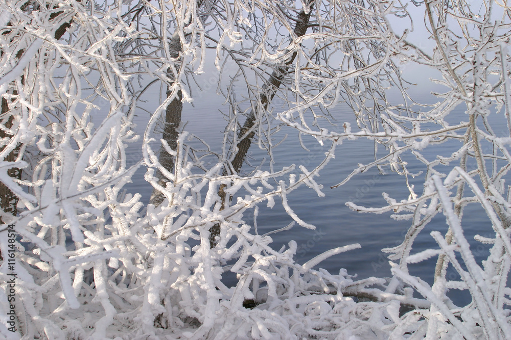 Frosty morning on the river Frosty morning on the river