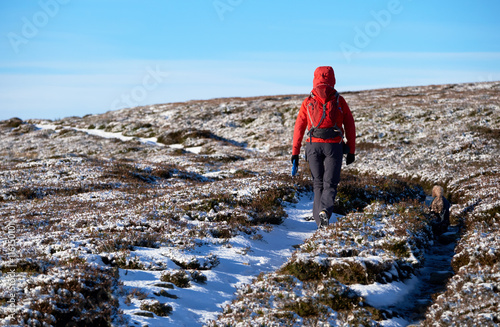 A hiker wearing a red jacket walking through a snow covered wint