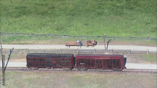 Cattle And Horses On Grant Kohrs Ranch photo