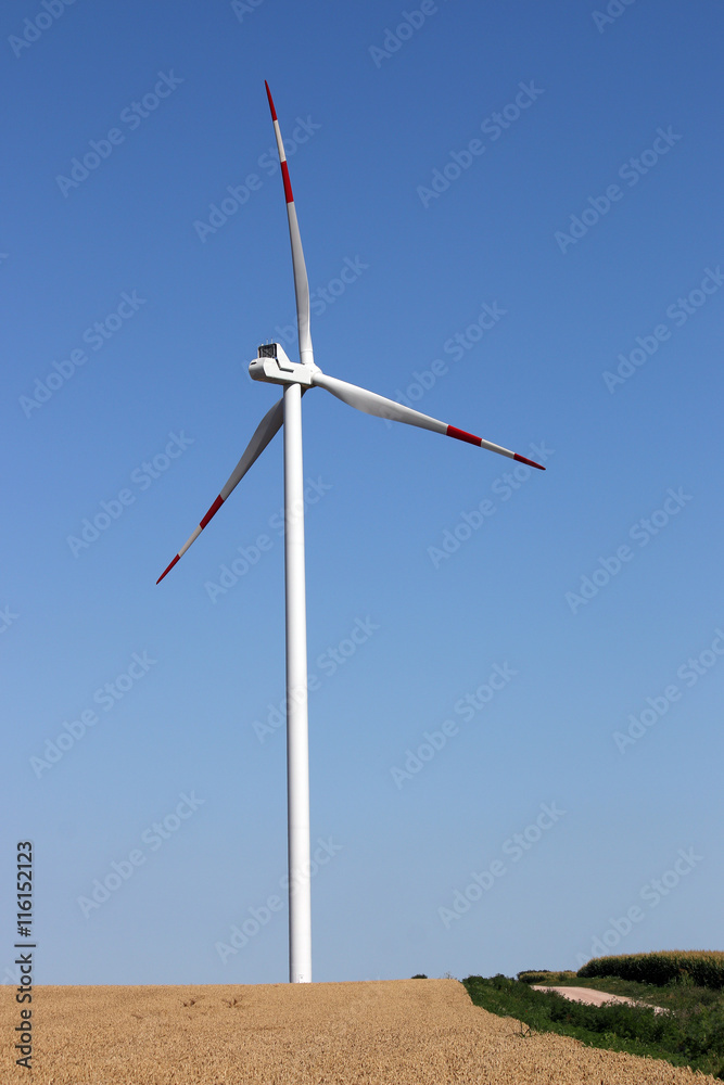 wind turbines on field renewable energy wind turbines on field renewable energy